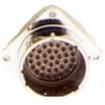 MS27466T15B19S  Connectors