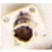 MS27499E8F35P  Connectors