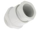 AFP 21  Wire & Cable