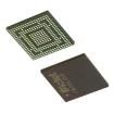 AGL1000V2-CSG281  Semiconductors