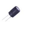 ERH2GM101M25OT  Passive Components
