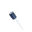 ERK2GM100F11OTHO Aluminium Electrolytic Capacitors - Axial Leaded
