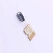 EWH1CM101D11P25T Aluminium Electrolytic Capacitors - Radial Leaded