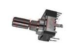 RV142FPF-40B1-15K-0B10K-004  Passive Components