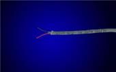 1298C SL005  Wire & Cable