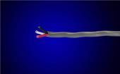 1899C SL005  Wire & Cable