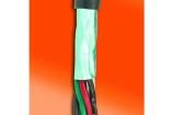 25062-BK199 Multi-Conductor Cables