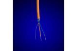 6459 OR005 Multi-Conductor Cables