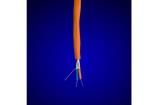 6461 OR005 Multi-Conductor Cables