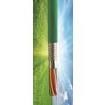 77022-SL005 Multi-Conductor Cables