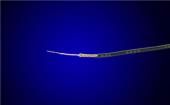 9179B-BR001 Wire & Cable