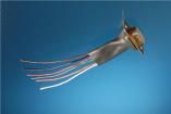 FIT3001/2 BK105  Wire & Cable