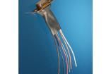 FIT3001/4 BK103 Heat Shrink Tubing and Sleeves