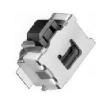 SKRELHE010 Tactile Switches