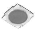 SKRMAAE010  Electromechanical