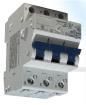 MA6.3UM  Circuit Protection