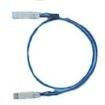 10110818-2010LF Ethernet Cables / Networking Cables