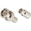 31-5556-RFX  Connectors