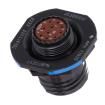 D38999/24ZC98PN Circular MIL Spec Connector