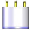 EC4-100-H2S  Sensors