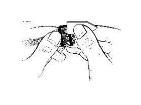 HT-0080  Tools & Supplies