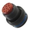 MS3476A20-39S  Connectors