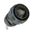 RJFTV67SB1G  Connectors