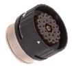SJS425311P  Connectors