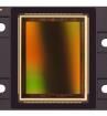 CMV20000-1E5M1PA Image Sensors