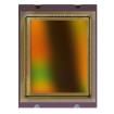 CMV50000-1E3M1PA Image Sensors