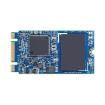 APM2T42P100064GAN-ITW Solid State Drives - SSD