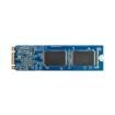 APM2T80P201032GAN-HTM1W Solid State Drives - SSD