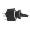 4146A22 Toggle Switches