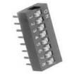 DS06T DIP Switches/SIP Switches