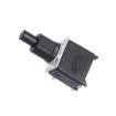 TP33W088000 Pushbutton Switches