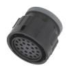 15544897 Automotive Connectors