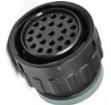 15544899 Automotive Connectors