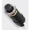 T920SB Pushbutton Switches
