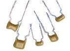 AR215C102K4R  Passive Components