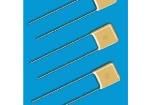 SE051C825KAR Multilayer Ceramic Capacitors MLCC - Leaded