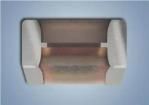UBR0402B250FZTR/500  Passive Components