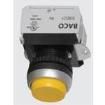 L21AB02-1E10 Pushbutton Switches