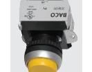 L21AK20-3EAGL11 Pushbutton Switches
