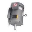 M3454 AC, DC & Servo Motors