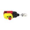RP-RM83F-38LTE Cable Pull Switches