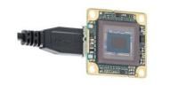 108229  Optoelectronics