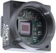 108730  Optoelectronics