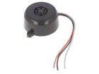 BCP-1 electronic component of MPM