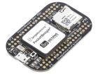 BEAGLEBOARD POCKET electronic component of BeagleBoard