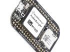 BEAGLEBOARD POCKET Single Board Computers